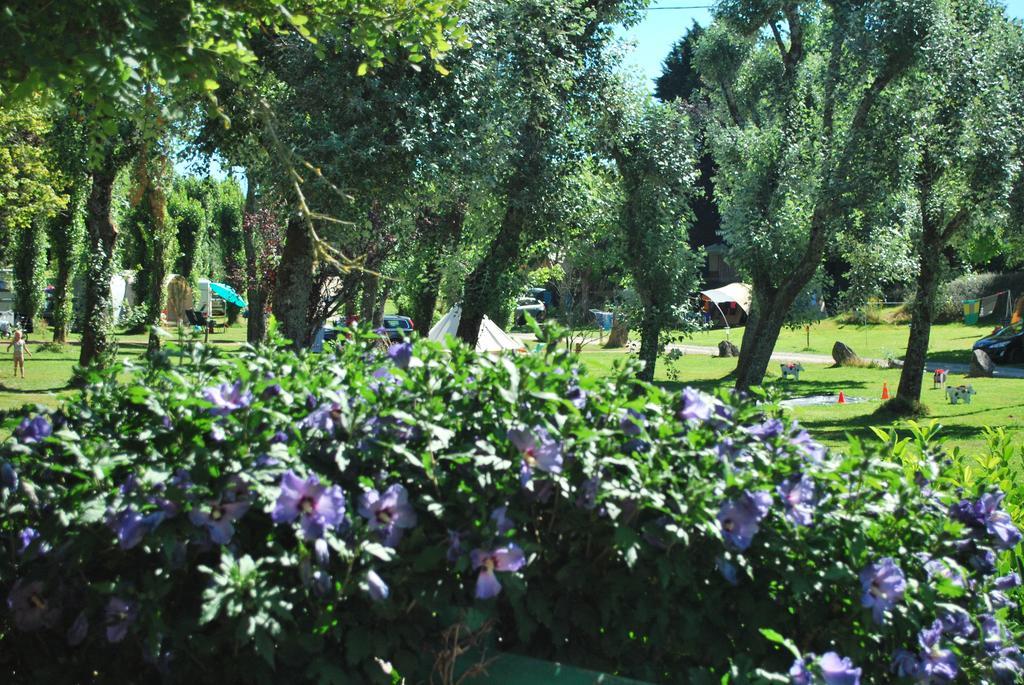 Camping Les Tournesols Sillé-le-Guillaume Eksteriør bilde
