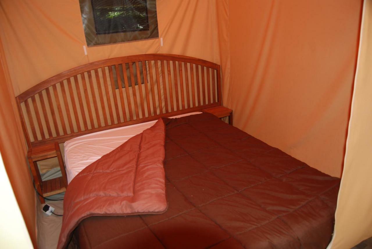 Camping Les Tournesols Sillé-le-Guillaume Eksteriør bilde